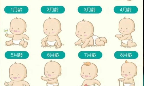 异体鼻子效果图网 - 为你提供异体鼻子效果图大全、异体骨隆鼻是什么材料